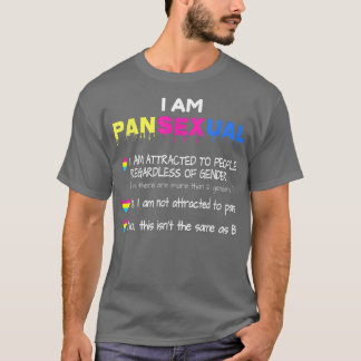 Camiseta Definição Panseual Orgulho Engraçado LGBT Tee 