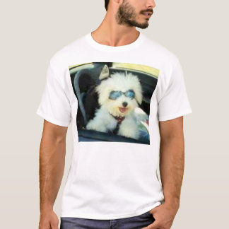 CAMISETA DEIXE E.U. IR!