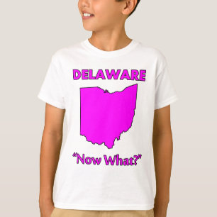 Camiseta Delaware - E agora?