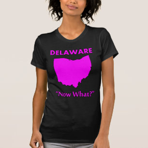Camiseta Delaware - E agora?