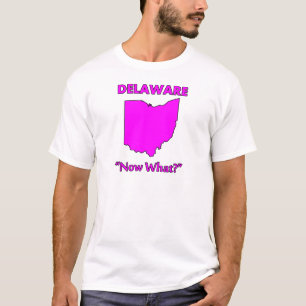 Camiseta Delaware - E agora?