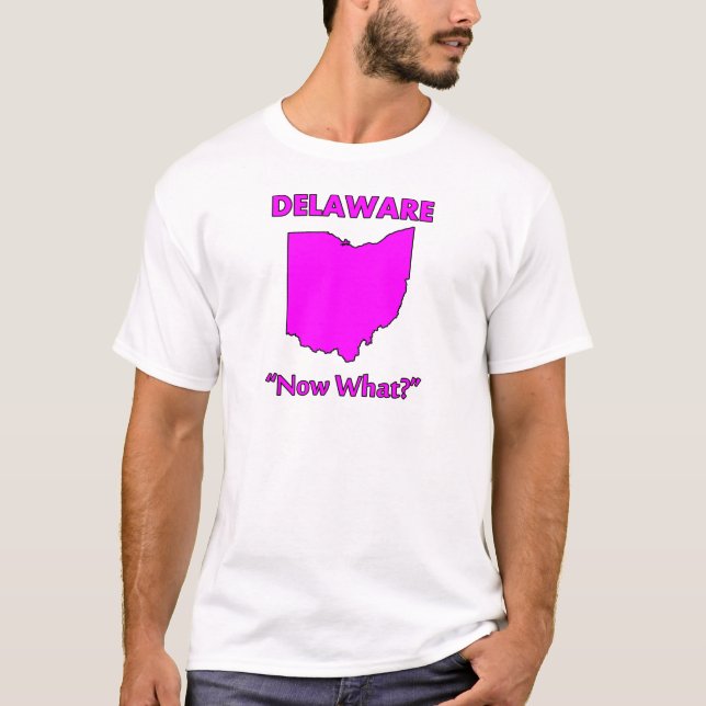 Camiseta Delaware - E agora? (Frente)