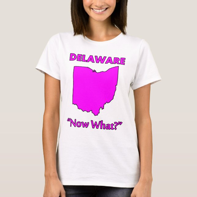Camiseta Delaware - E agora? (Frente)
