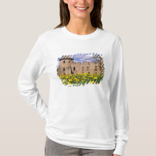 Camiseta Dent-de-leões rodeiam o Castelo de Cesis no centro