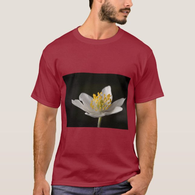 Camiseta Derweg Minimalist Nature (Frente)