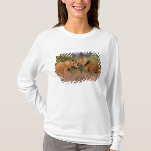 Camiseta Desafio de elefante, África, Quênia, Samburu