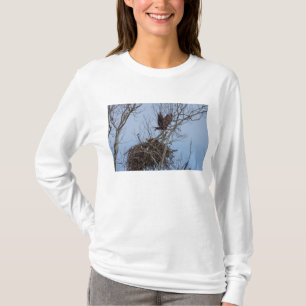 Camiseta Desativado Para Mais