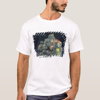 Camiseta Descloizite na calcite