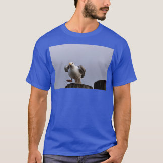 Camiseta Descolagem