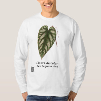 Camiseta Descoloração do emitente