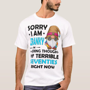 Camiseta Desculpe, Estou Estranho, Estou Passando Por Meu T