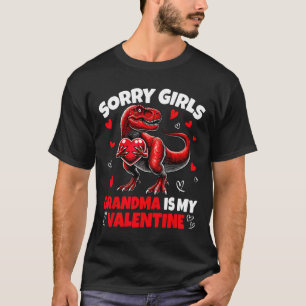 Camiseta Desculpe Meninas A Vovó É Meu Dinossauro Do Dia Do