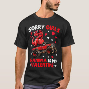 Camiseta Desculpe Meninas A Vovó É Meu Dinossauro Do Dia Do