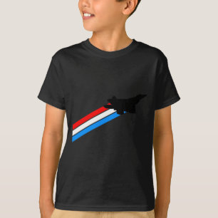 Camiseta Desempenho do Avião de Combate F-22 Raptor