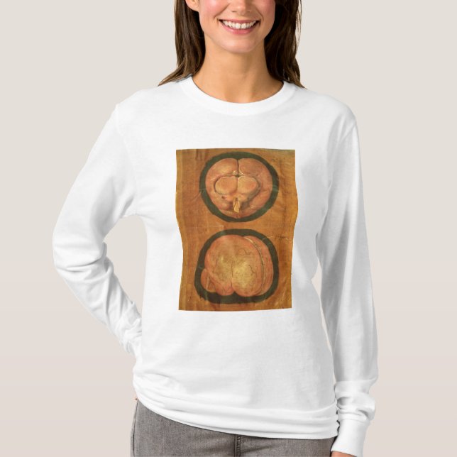 Camiseta Desenho anatômico do cérebro humano (Frente)