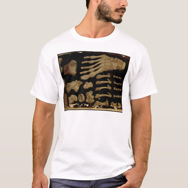 Camiseta Desenho anatômico dos ossos do pé (Frente)