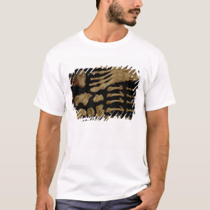 Camiseta Desenho anatômico dos ossos do pé