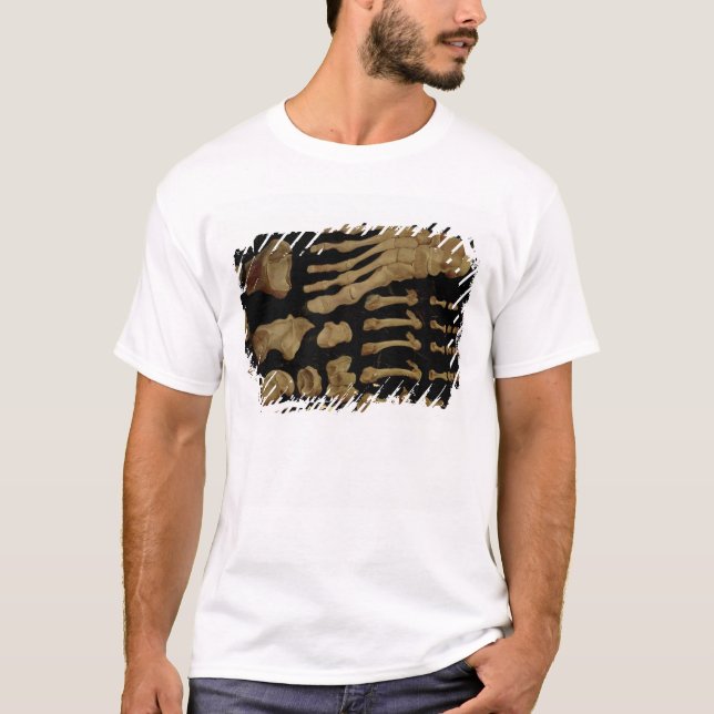 Camiseta Desenho anatômico dos ossos do pé (Frente)