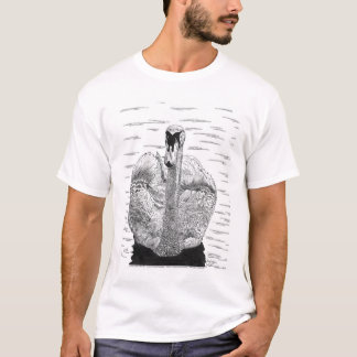 Camiseta Desenho da caneta e da tinta da cisne