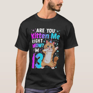 Camiseta Desenho de Gato de Aniversário de 13 Anos para Ani