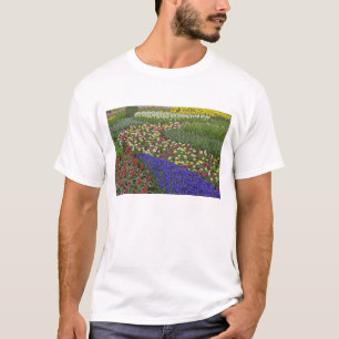 Camiseta Desenho de jardim de Jacinto de Uva e tulipas,