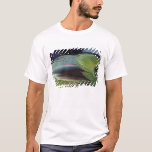 Camiseta desenho de padrão de pena de papagaio