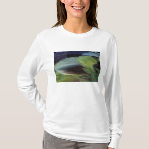 Camiseta desenho de padrão de pena de papagaio