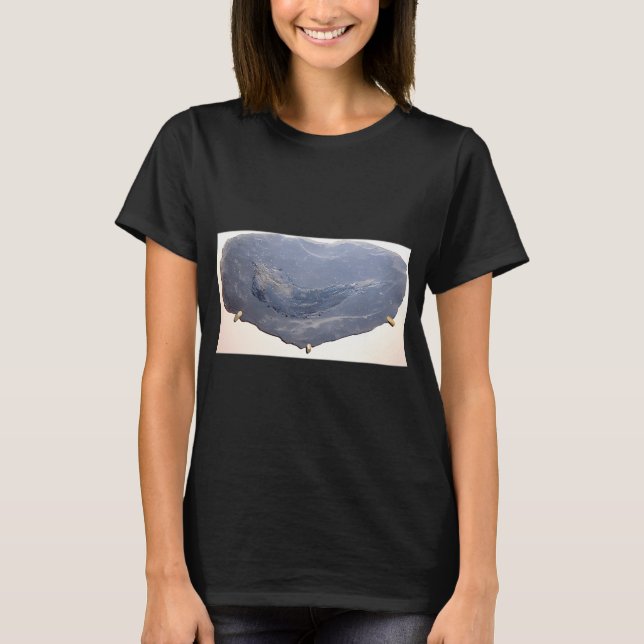Camiseta Desenho de Peixe Antigo (Frente)