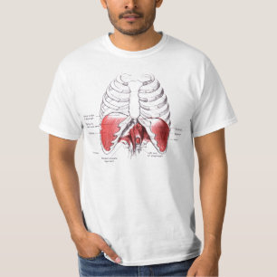 Camiseta Desenho do diafragma