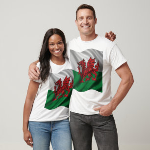 Camiseta Desenho do Dragão Vermelho Heráldico do País de Ga