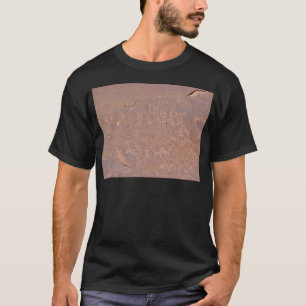 Camiseta Desenhos Pré-Históricos Esculpidos No Deserto