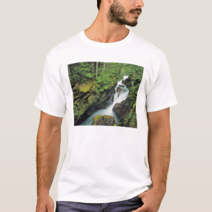 Camiseta Desfiladeiro Avalanche no Parque Nacional Glacier 