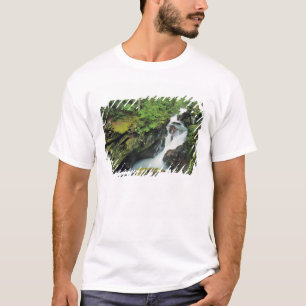 Camiseta Desfiladeiro Avalanche no Parque Nacional Glacier 