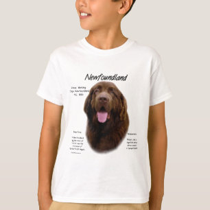 Camiseta Design de História da Terra Nova (Brown)