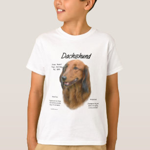 Camiseta Design de História de Dachshund (longhair)