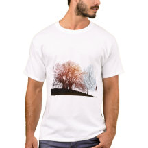 Design de Inspiração Moderno
