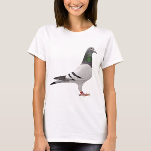 Camiseta design do pombo
