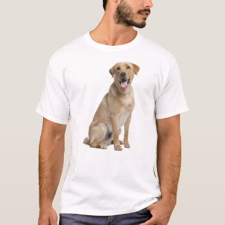 Camiseta Design original de Labrador