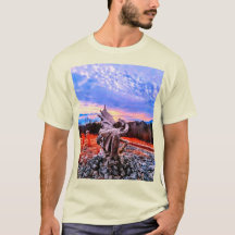 Designs Dragonware e Kidtastic