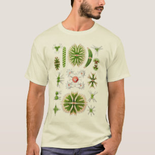 Camiseta Desmids