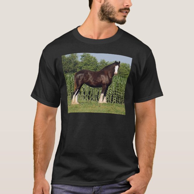 Camiseta destino (Frente)