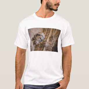 Camiseta Detalhe das claustras estátua do Patriarca Zacaria