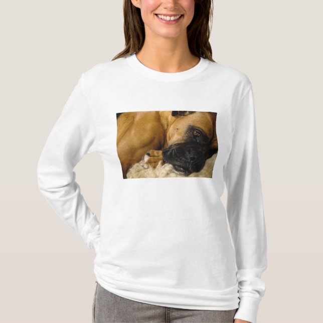 Camiseta Detalhe de um Boxer (Frente)