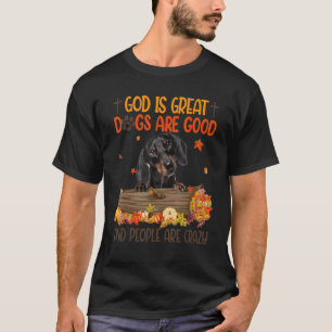 Camiseta Deus É Excelente Cachorro É Boa Queda De Dachshund
