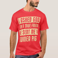 Deus Me Enviou Um Porco De Guiné Engraçado