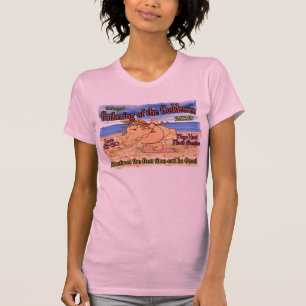 Camiseta Deusa que recolhe 2013