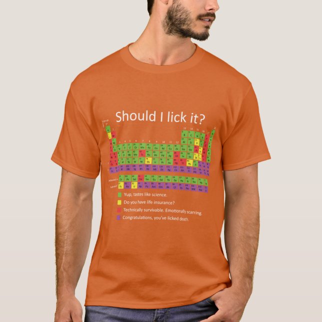 Camiseta Devo lamber isto amigo (Frente)
