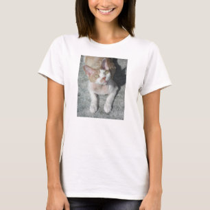 Camiseta devon rex fofo
