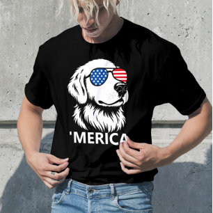 Camiseta Dia da Independência Patriótica Americana da Bande