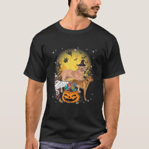 Camiseta Dia de as Bruxas engraçado Vizsla Witch Pumpkin Mu